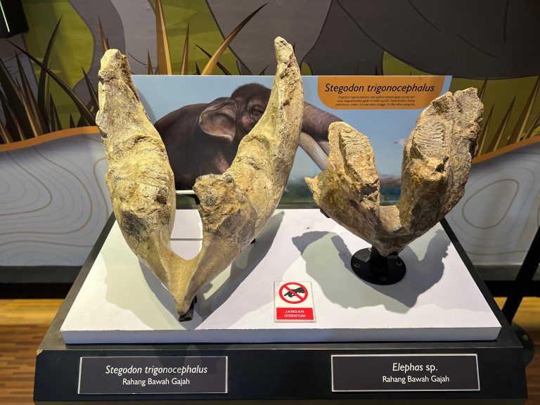 IMG-20260204-WA0098